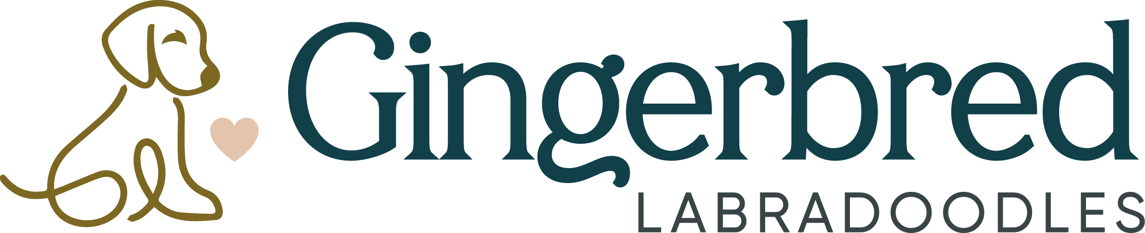 691427853ca42_gingerbred-labradoodles-logo-full-color-cmyk-24.2006cm@300ppi